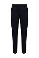 Брюки Berwich: тёмно-синий цвет